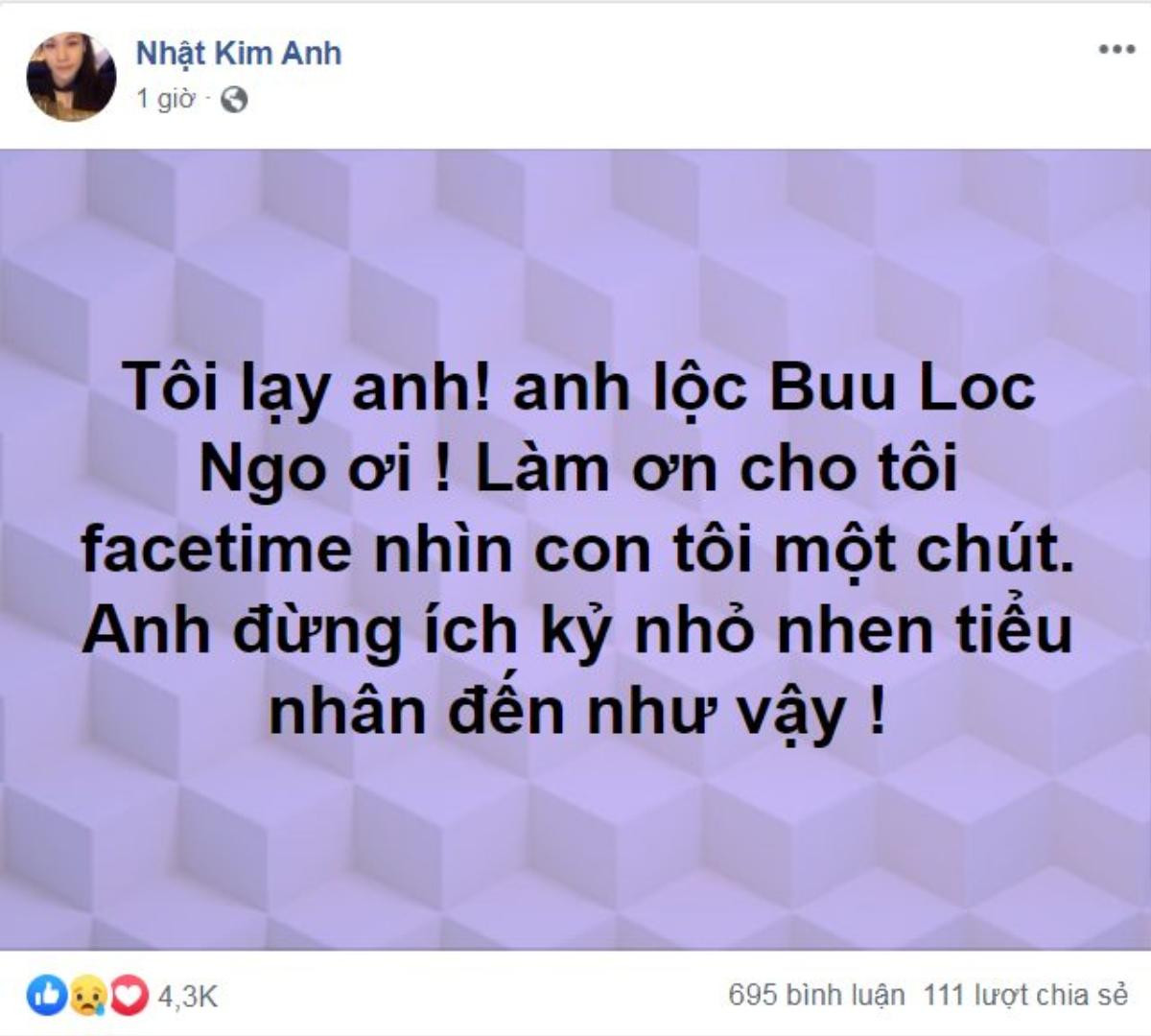 Nhật Kim Anh thảm thiết cầu xin chồng cũ cho được nhìn thấy con… dẫu chỉ 1 phút Ảnh 1