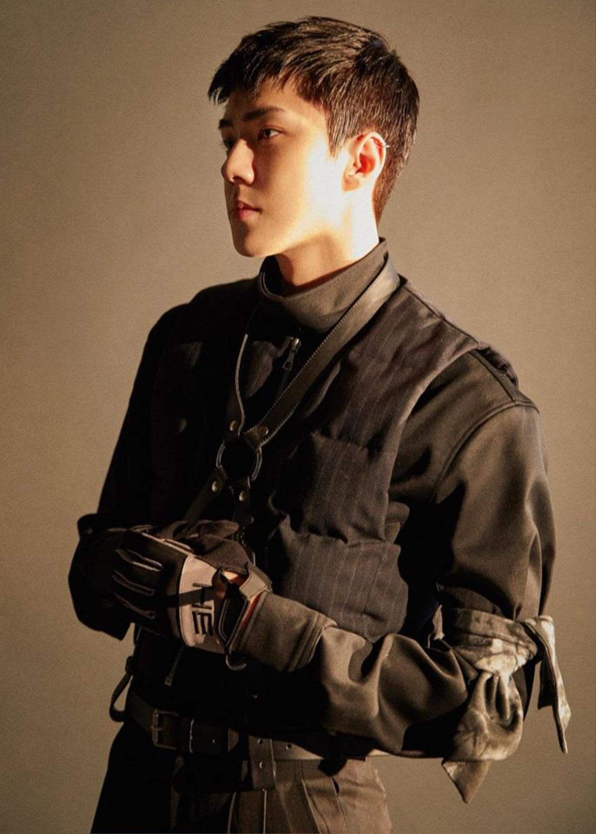 Sehun (EXO) ma mị nhưng đầy thu hút trong teaser comeback: Fan 'đứng ngồi không vững' hóng những concept còn lại Ảnh 4