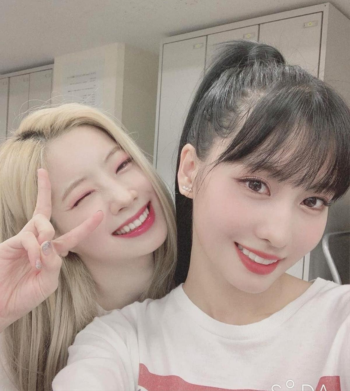 Fan phát hoảng với lí do Momo và Dahyun (Twice) phải đột ngột dừng buổi livestream Ảnh 1