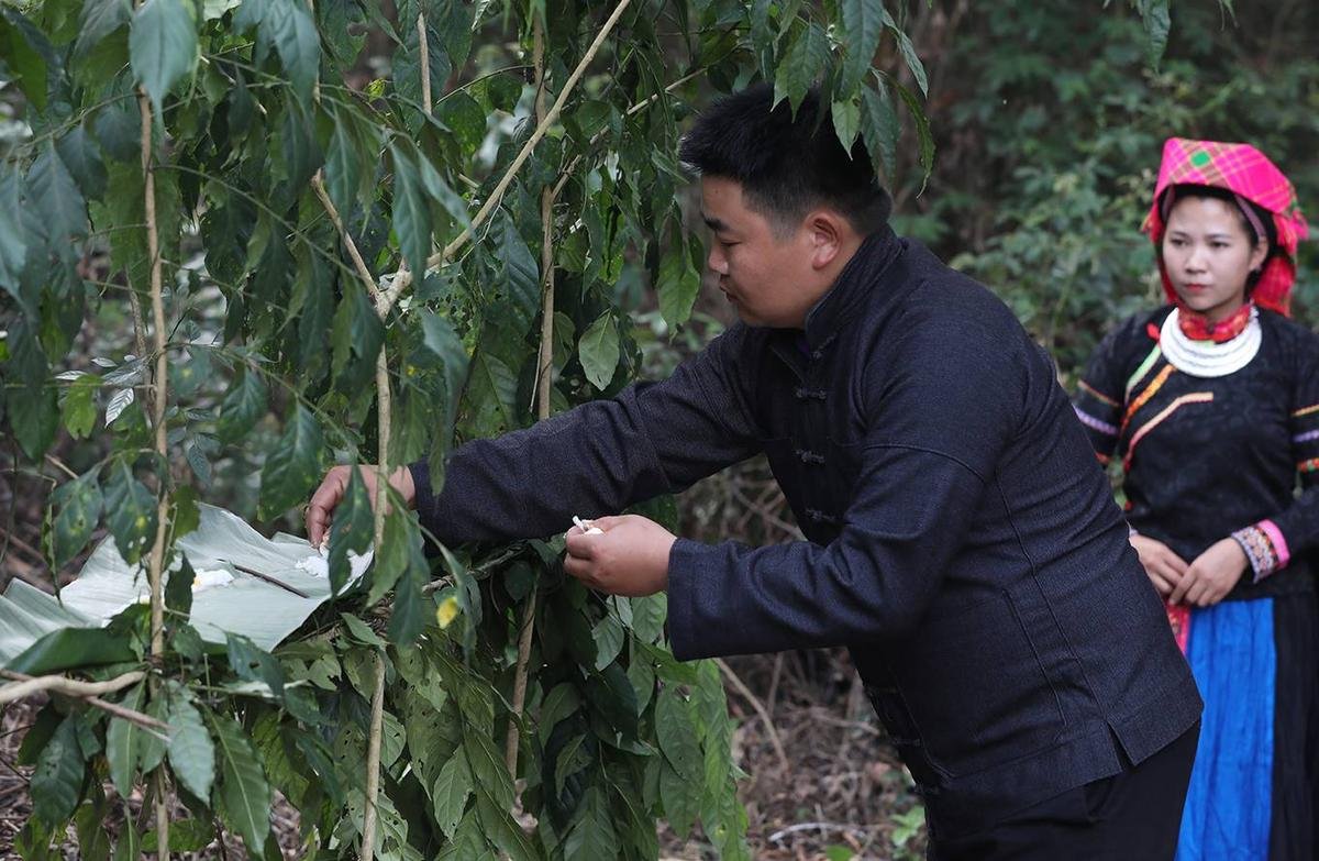 Lễ cúng 'Thần rừng' của người Pu Péo Ảnh 3