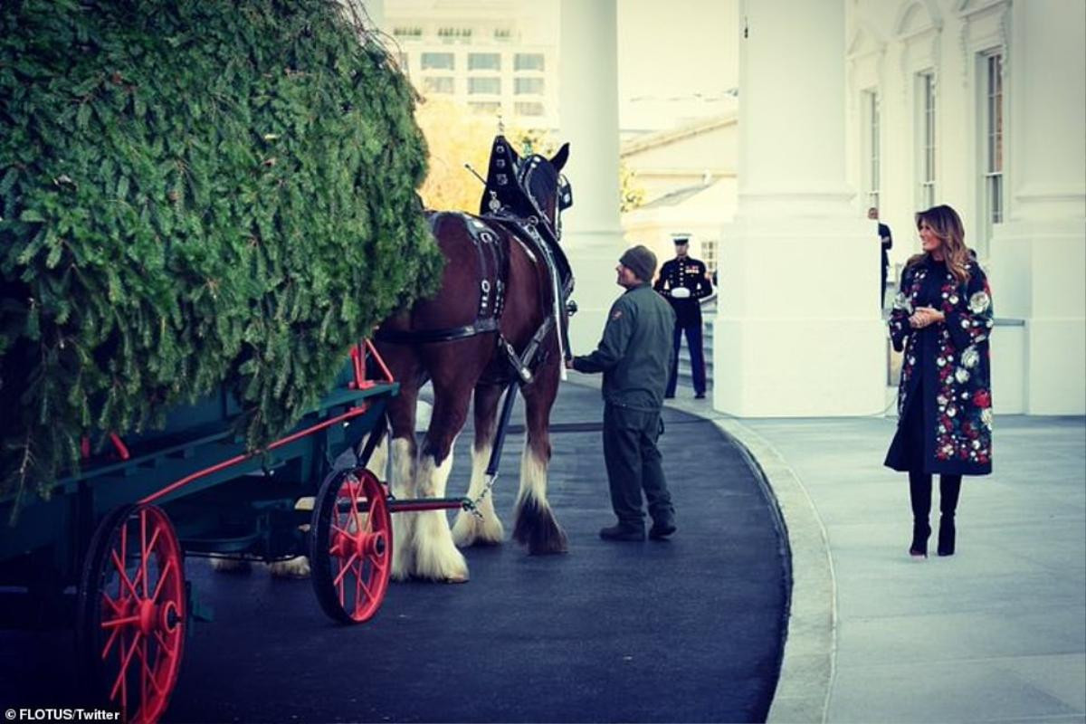 Nhà Trắng đẹp lung linh dưới bàn tay bà Melania Trump mùa Giáng sinh Ảnh 19