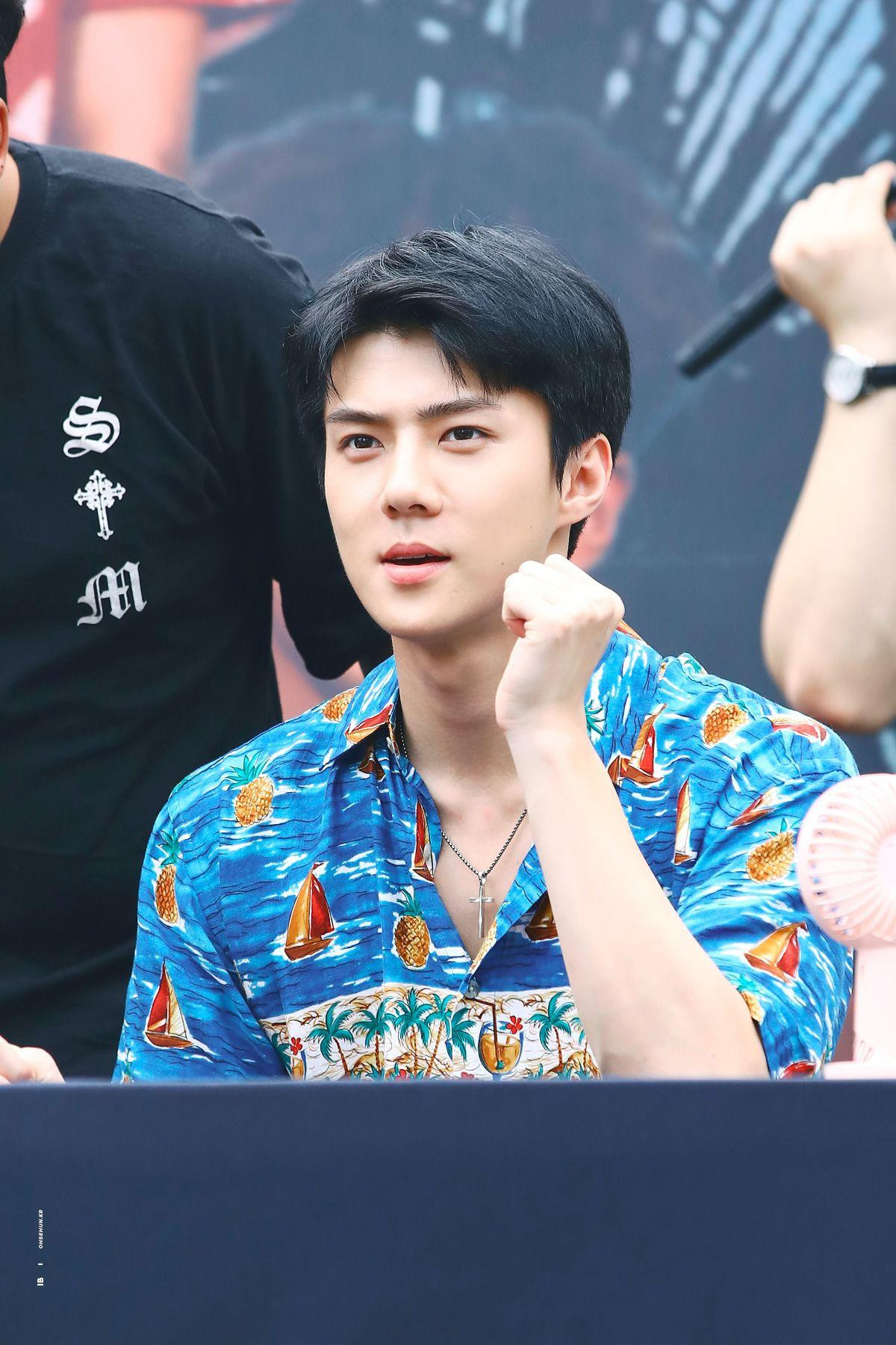 Lụi tim trước những lời ngọt ngào mà Sehun (EXO) dành để động viên fan theo đuổi ước mơ Ảnh 1