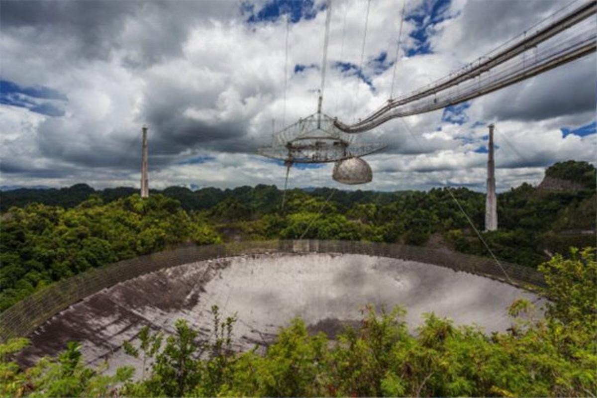 NASA thực hiện thí nghiệm với cá heo là để nói chuyện với người ngoài hành tinh? Ảnh 4