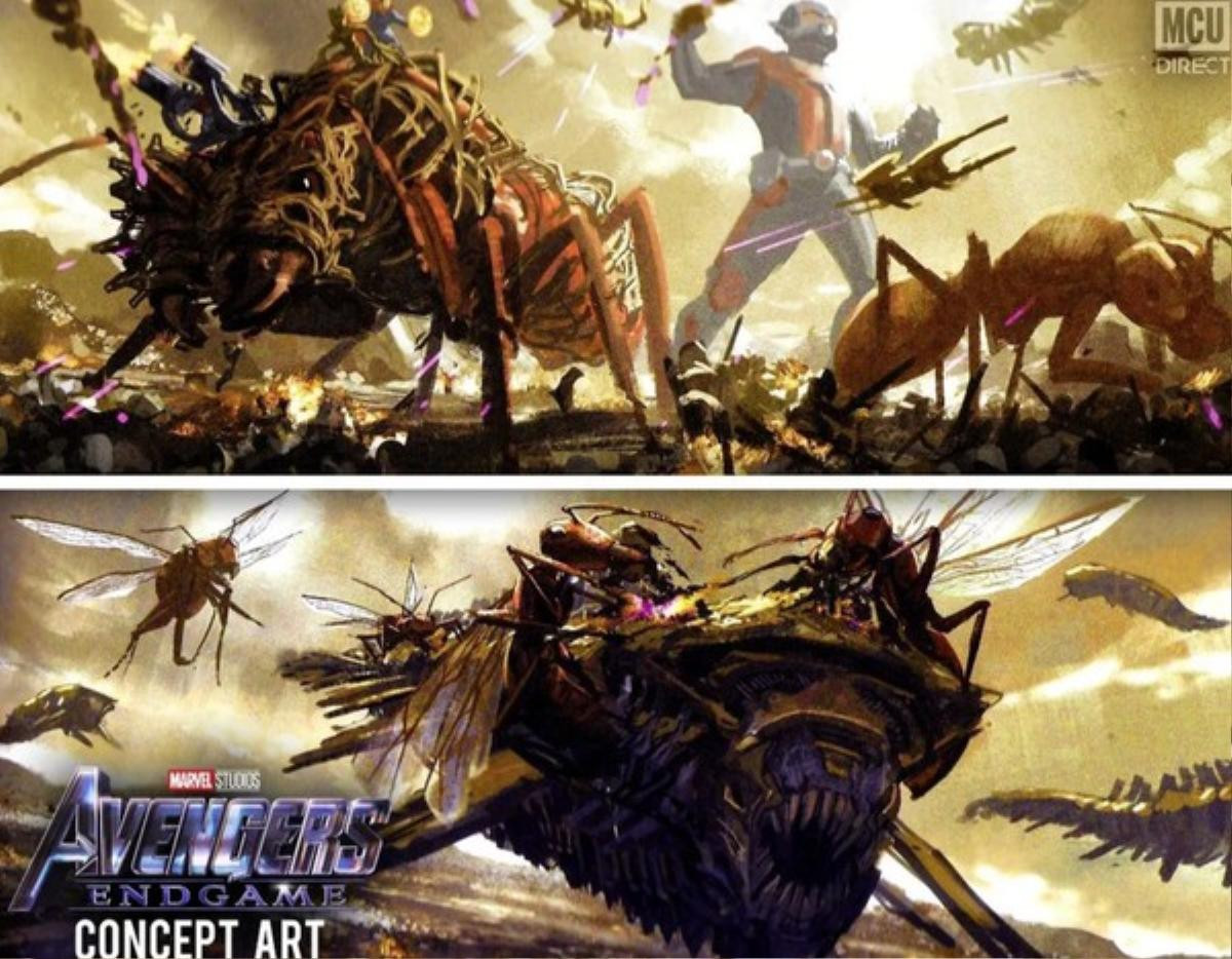 'Avengers: Endgame': Tiếc nuối vì Ant-Man suýt có vai trò 'khổng lồ' trong trận chiến cuối cùng Ảnh 2