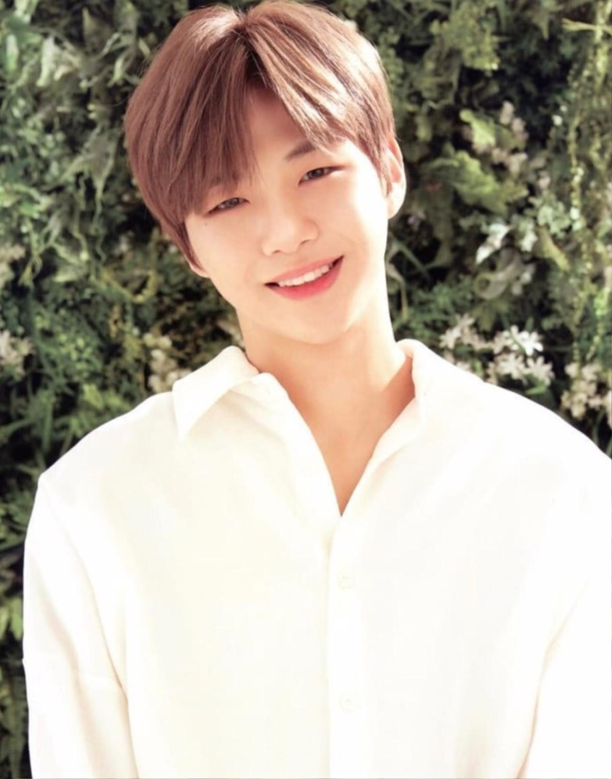 Công ty lên tiếng việc Kang Daniel trầm cảm và hủy bỏ tất cả lịch trình - show âm nhạc Ảnh 6