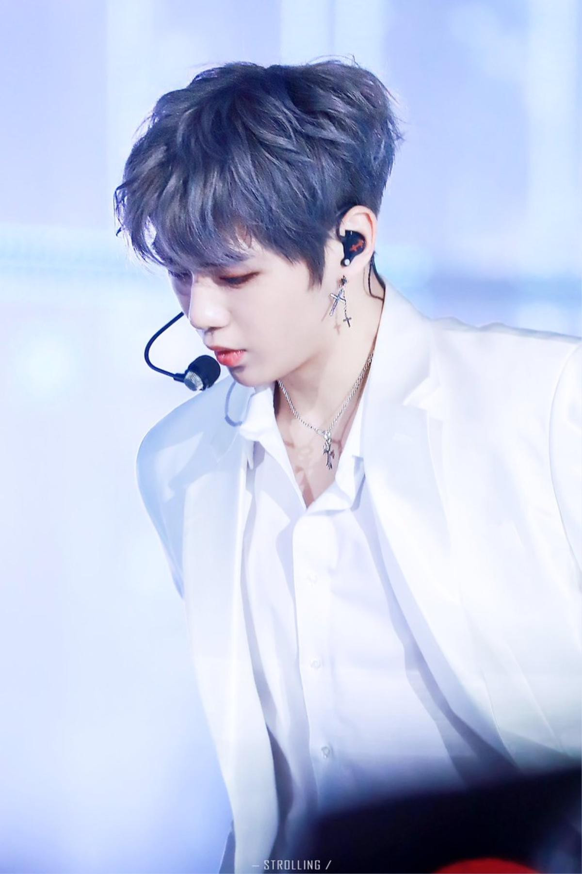 Knet nói gì khi Kang Daniel đau đớn bày tỏ: 'Làm ơn cứu tôi!' Ảnh 1