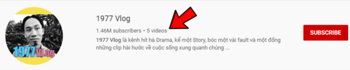 Kênh 1977 vlog bị xóa video, dân tình thi nhau 'đoán già đoán non' Ảnh 3