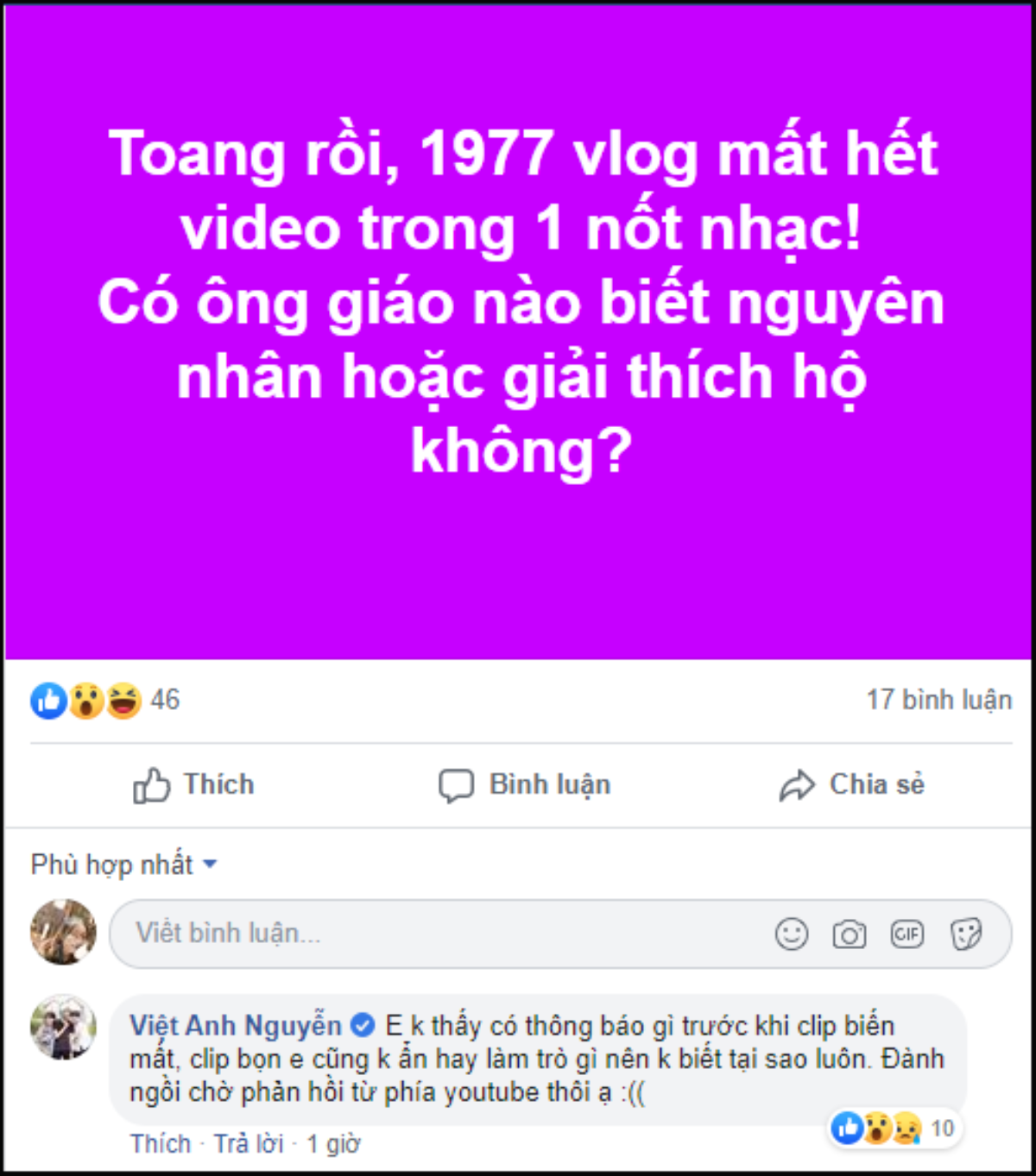 Kênh 1977 Vlog bị xóa video, Việt Anh lên tiếng: 'Tôi không biết tại sao luôn!' Ảnh 4