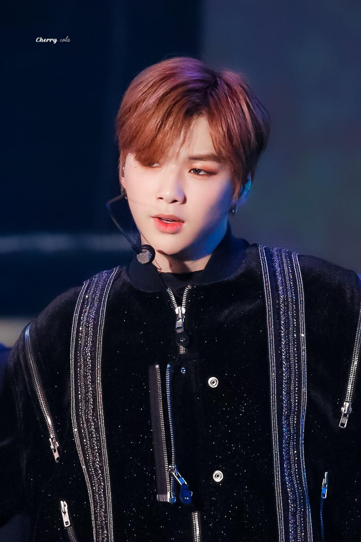 Cập nhật vụ kiện cư dân mạng của Kang Daniel: Công ty bổ sung loạt trường hợp mới có bình luận ác ý Ảnh 2