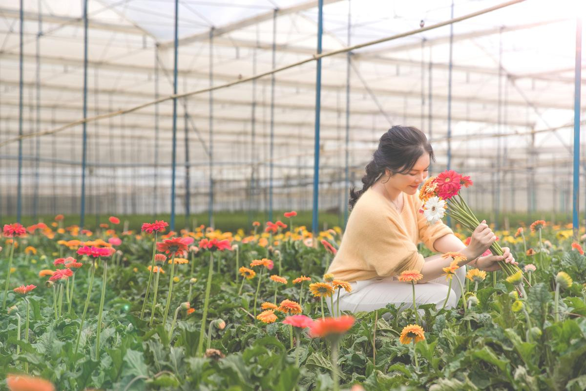 Lý Nhã Kỳ khoe ảnh rạng rỡ ở Đà Lạt, chia sẻ bí kíp giữ nhan sắc trẻ trung khiến nhiều người ngưỡng mộ Ảnh 2