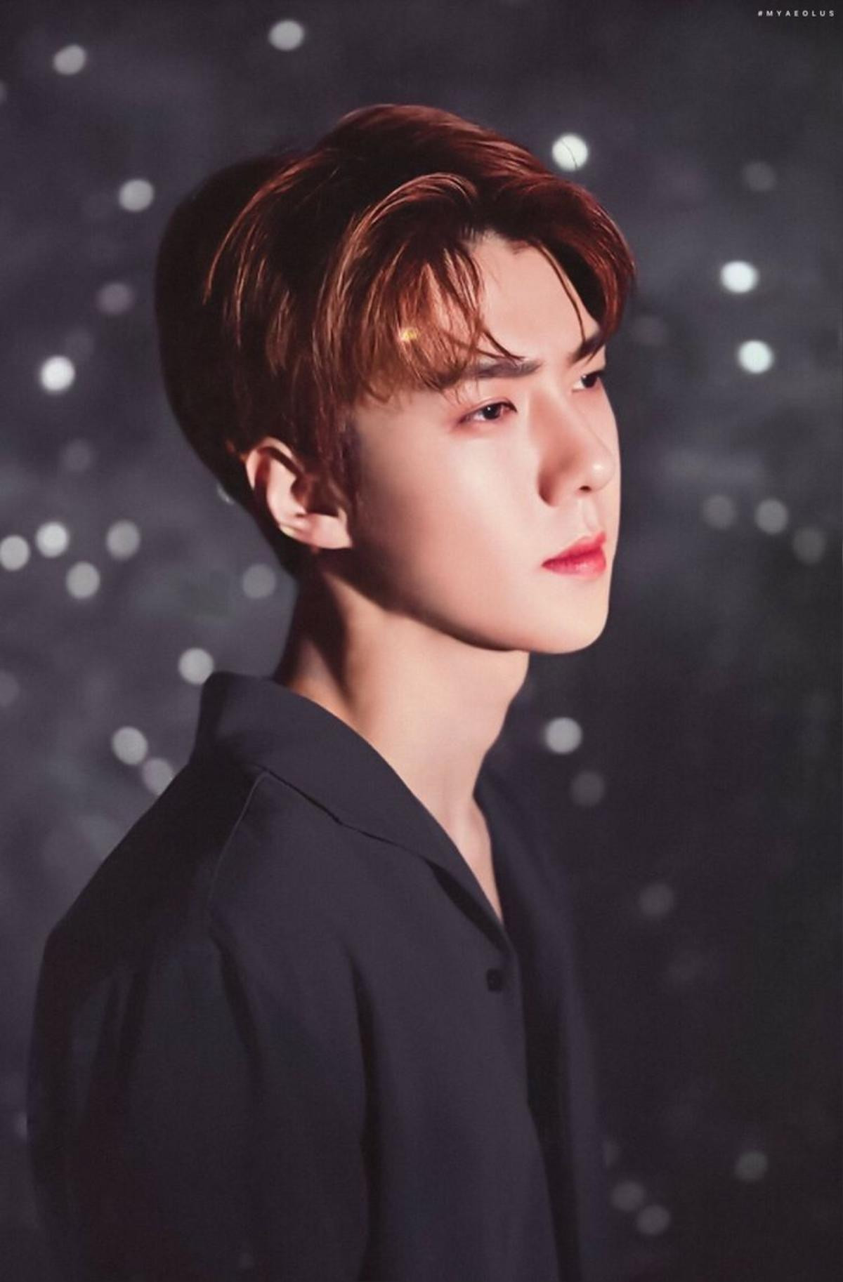 Tậu nhà 66 tỷ, Knet gào thét Sehun (EXO) quá khiêm tốn: 'Trẻ, giàu và đẹp là đây!' Ảnh 1