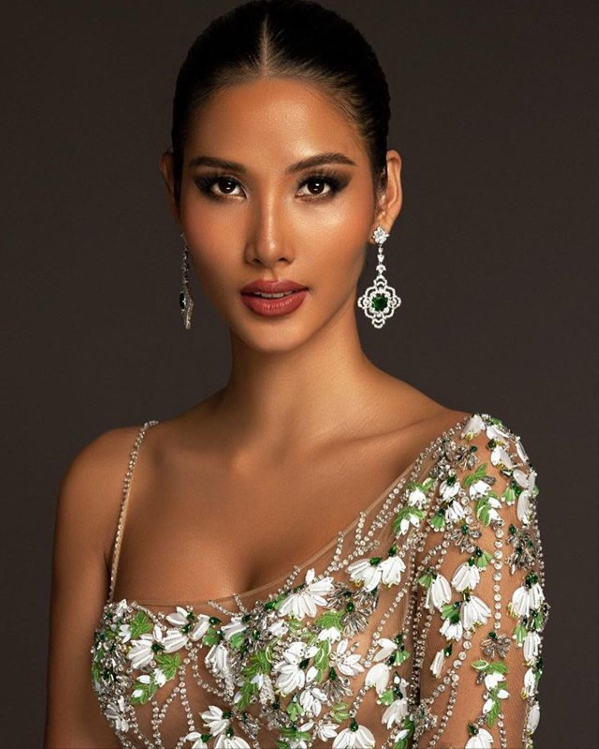 Sau kỳ tích, Hoàng Thùy - Lương Thùy Linh gia nhập đường đua Miss Grand Slam và Timeless Beauty 2019 Ảnh 3