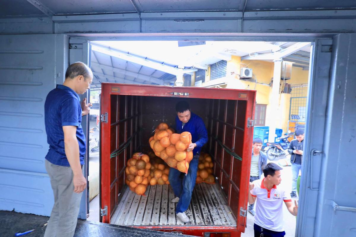 Hàng trăm cây quất, hàng nghìn quả bưởi… ‘cưỡi sóng’ mang Tết ra biển đảo Ảnh 12