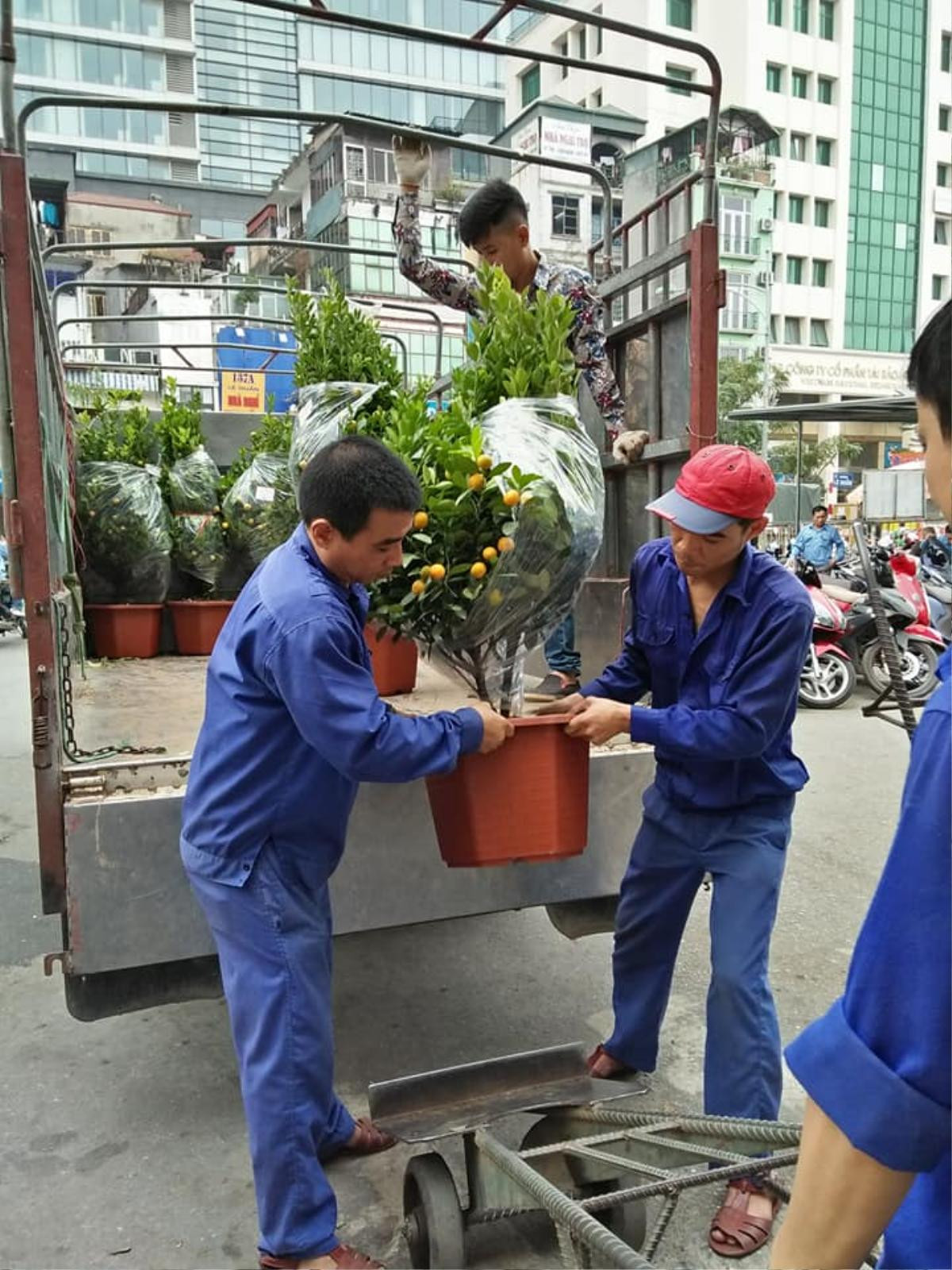 Hàng trăm cây quất, hàng nghìn quả bưởi… ‘cưỡi sóng’ mang Tết ra biển đảo Ảnh 4