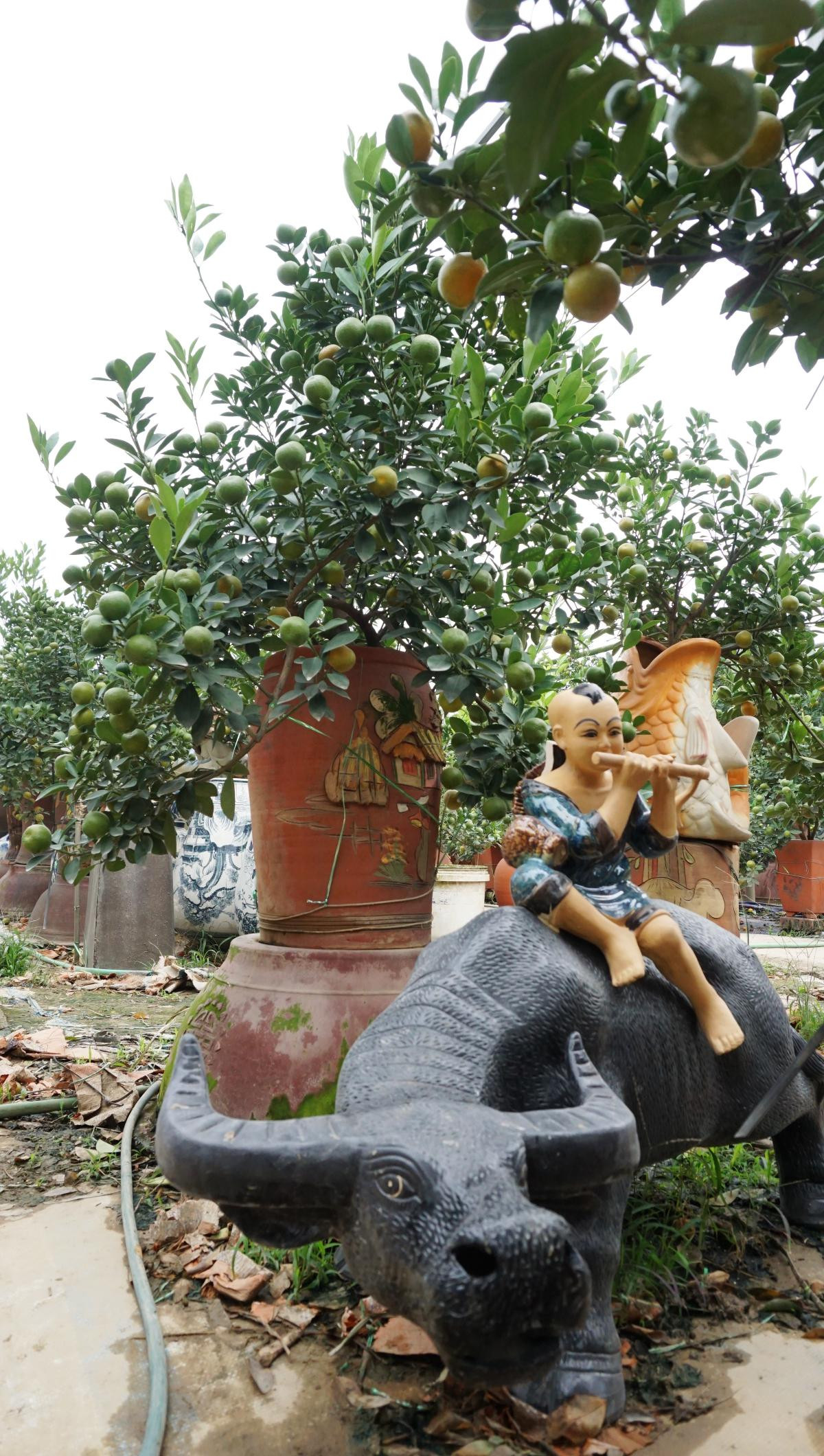 ‘Chuột vàng cõng quất bonsai’ hút khách, hốt bạc mùa Tết năm nay Ảnh 16