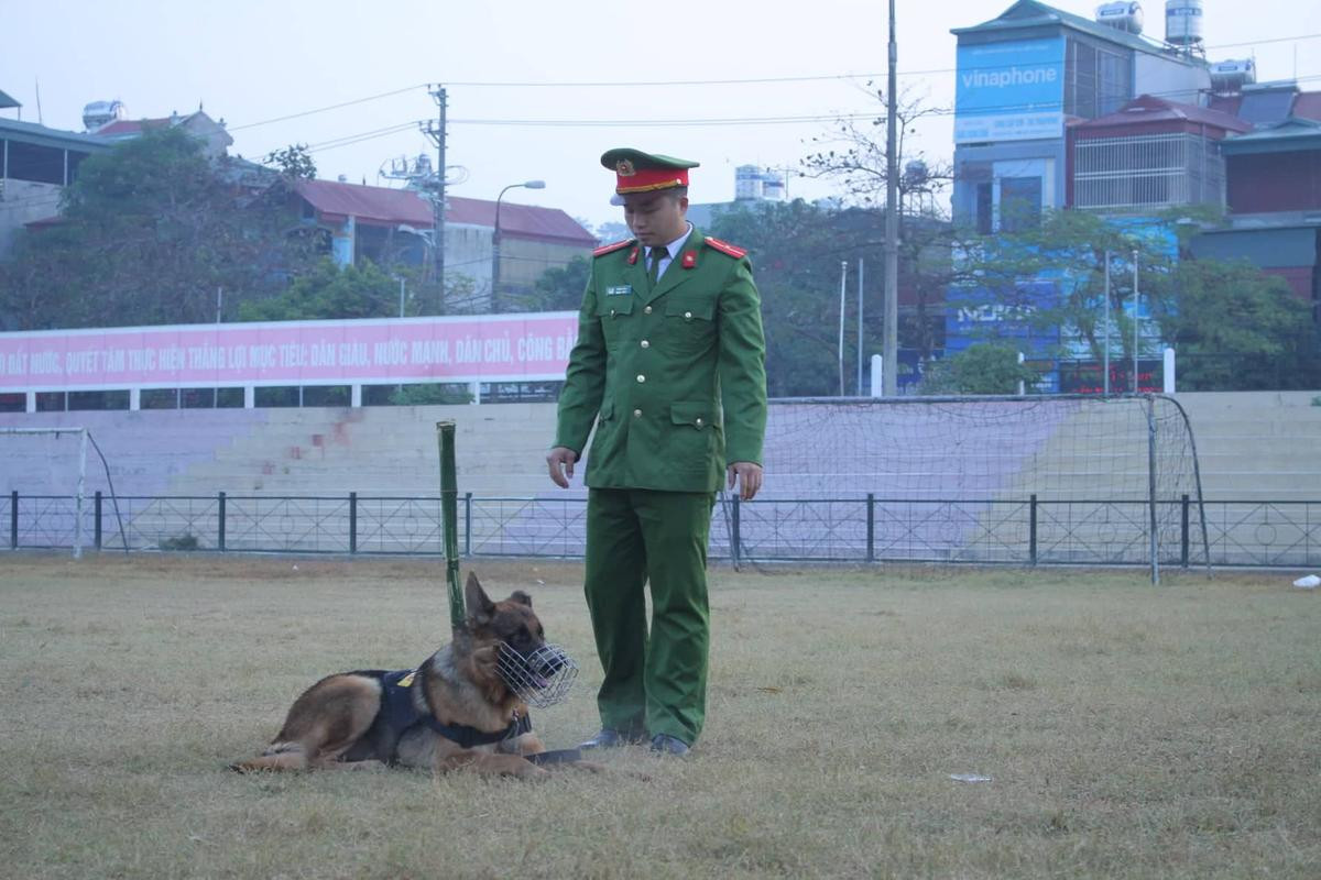 An ninh thắt chặt, điều chó nghiệp vụ bảo vệ quanh khu vực sân vận động nơi xảy ra vụ xét xử nữ sinh giao gà bị sát hại Ảnh 4