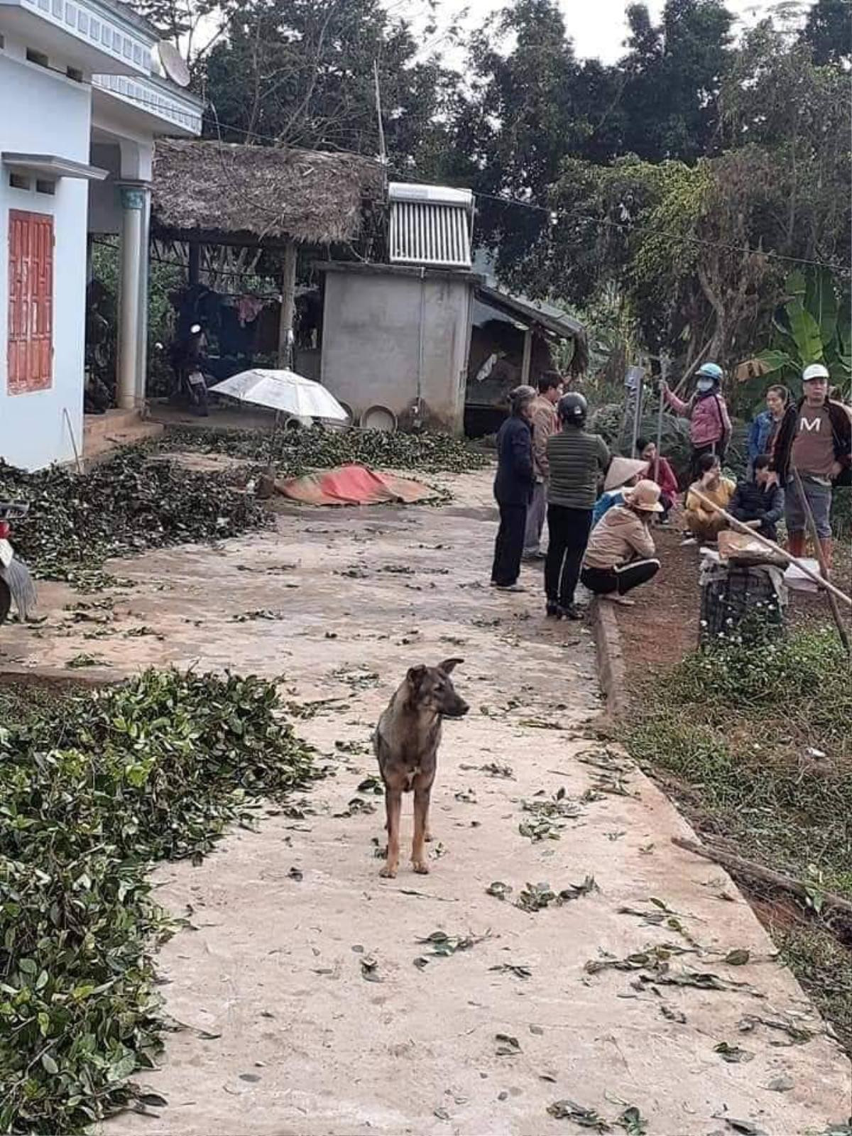 Truy bắt đối tượng nghi ngáo đá gây ra vụ thảm sát ít nhất 5 người chết ở Thái Nguyên Ảnh 2