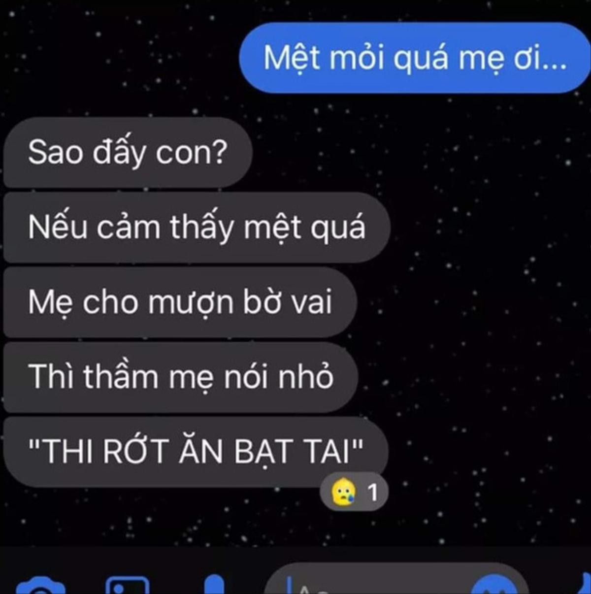 Than thở mệt mỏi với mẹ về áp lực thi cử, nam sinh nhận ngay lời động viên 'bá đạo' khiến CĐM cười ngất Ảnh 1