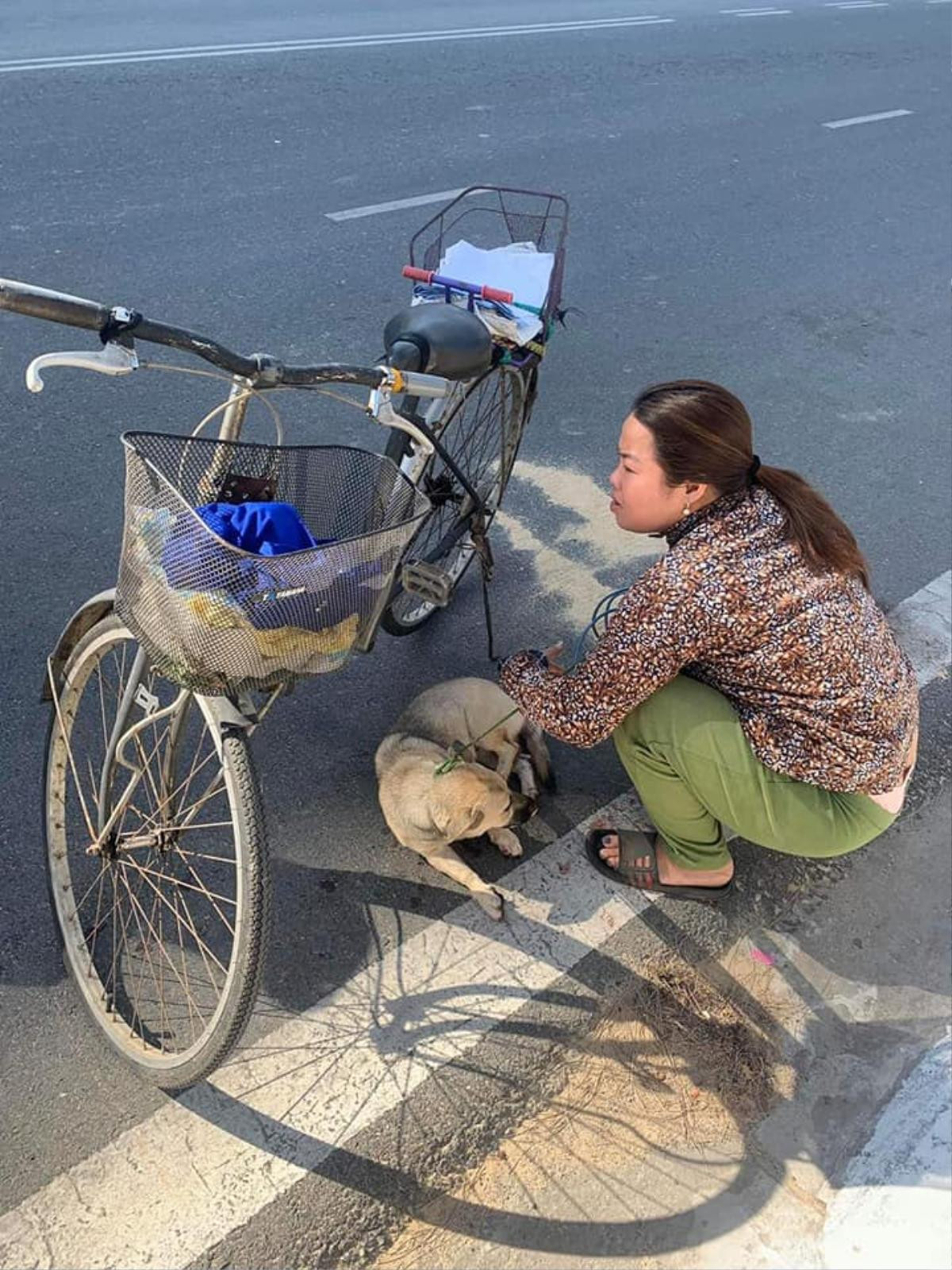 Phẫn nộ cảnh người đàn ông chạy xe máy kéo lê chú chó trên đường hàng trăm mét Ảnh 5