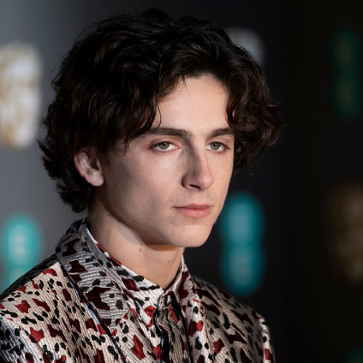 Timothée Chalamet tự stylist cho vai diễn chàng thơ trong Little Women Ảnh 5