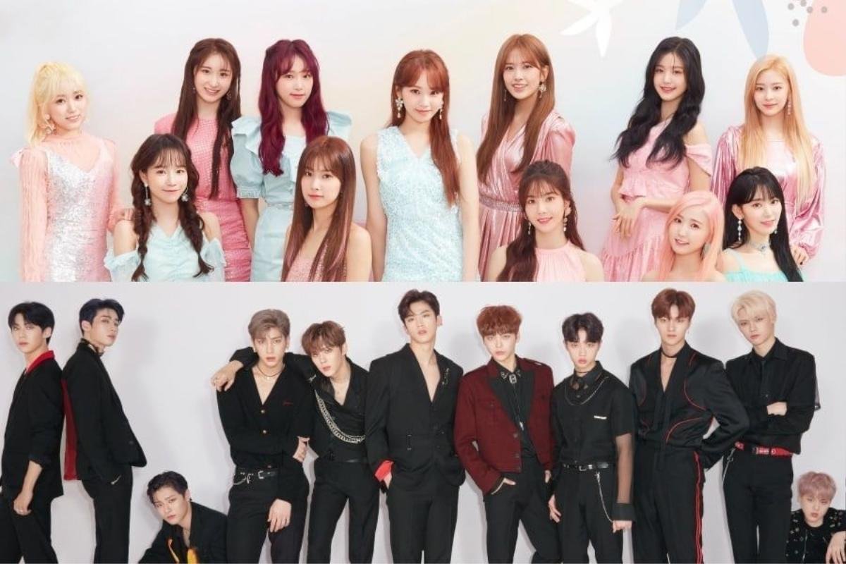 Knet 'nổi đóa' khi IZ*ONE và X1 có đề cử tại Golden Disc Awards 2020 nhưng không được đưa vào hạng mục đánh giá Ảnh 4