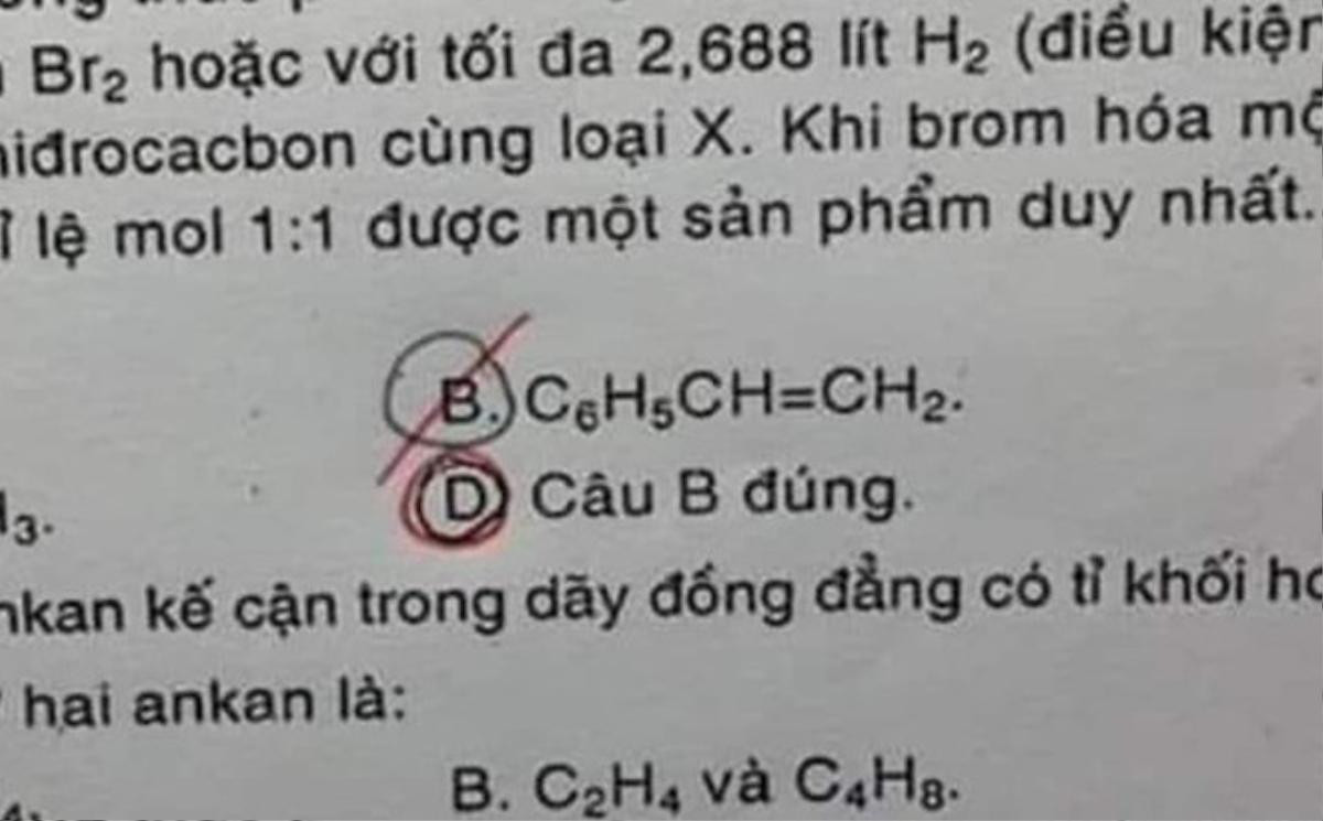 Đề kiểm tra với đáp án độc lạ có 1-0-2 khiến học sinh ‘khóc thét’: Chọn câu nào để vừa lòng cô bây giờ? Ảnh 1