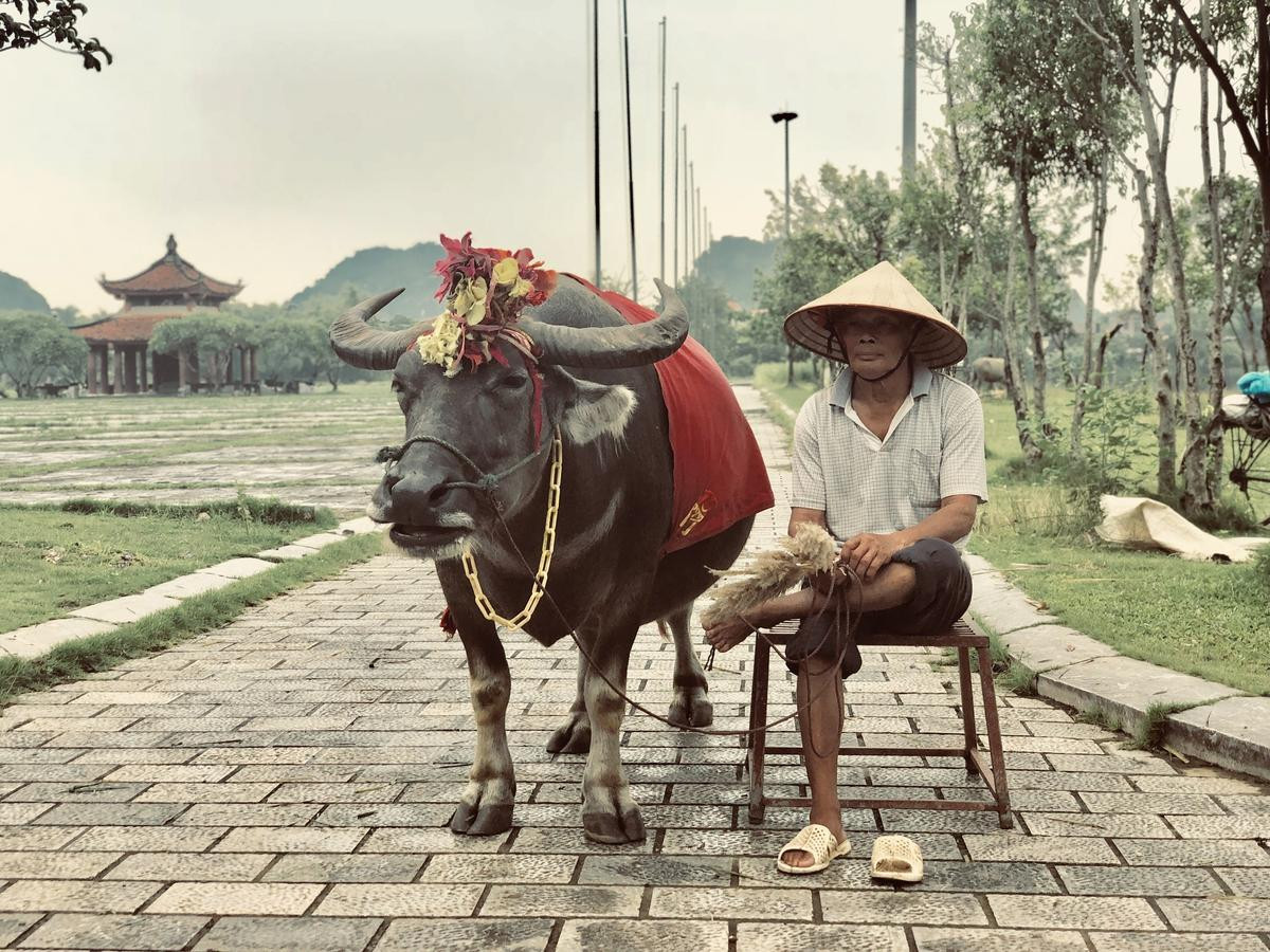 Cuộc hội ngộ đầy bất ngờ giữa nam du khách nước ngoài và người đàn ông chăn trâu ở Ninh Bình sau 15 năm gây sốt MXH Ảnh 3