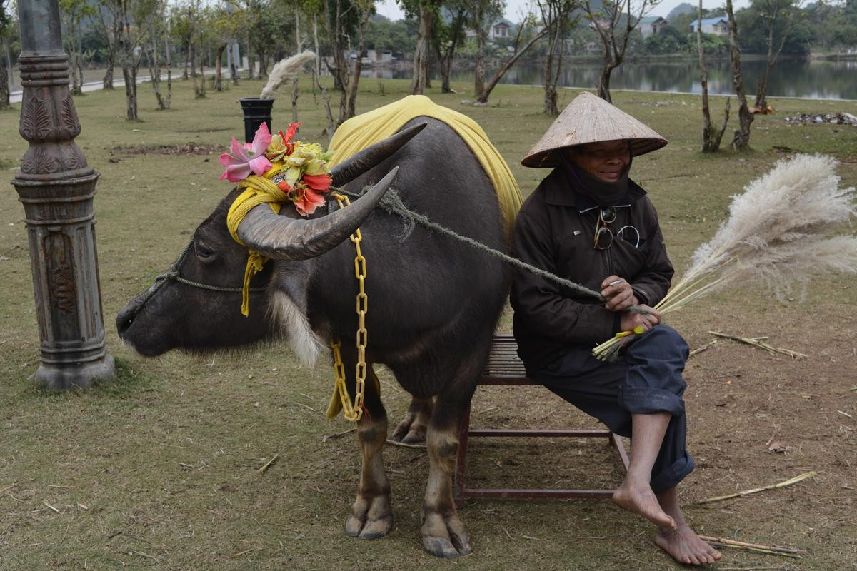 Cuộc hội ngộ đầy bất ngờ giữa nam du khách nước ngoài và người đàn ông chăn trâu ở Ninh Bình sau 15 năm gây sốt MXH Ảnh 4