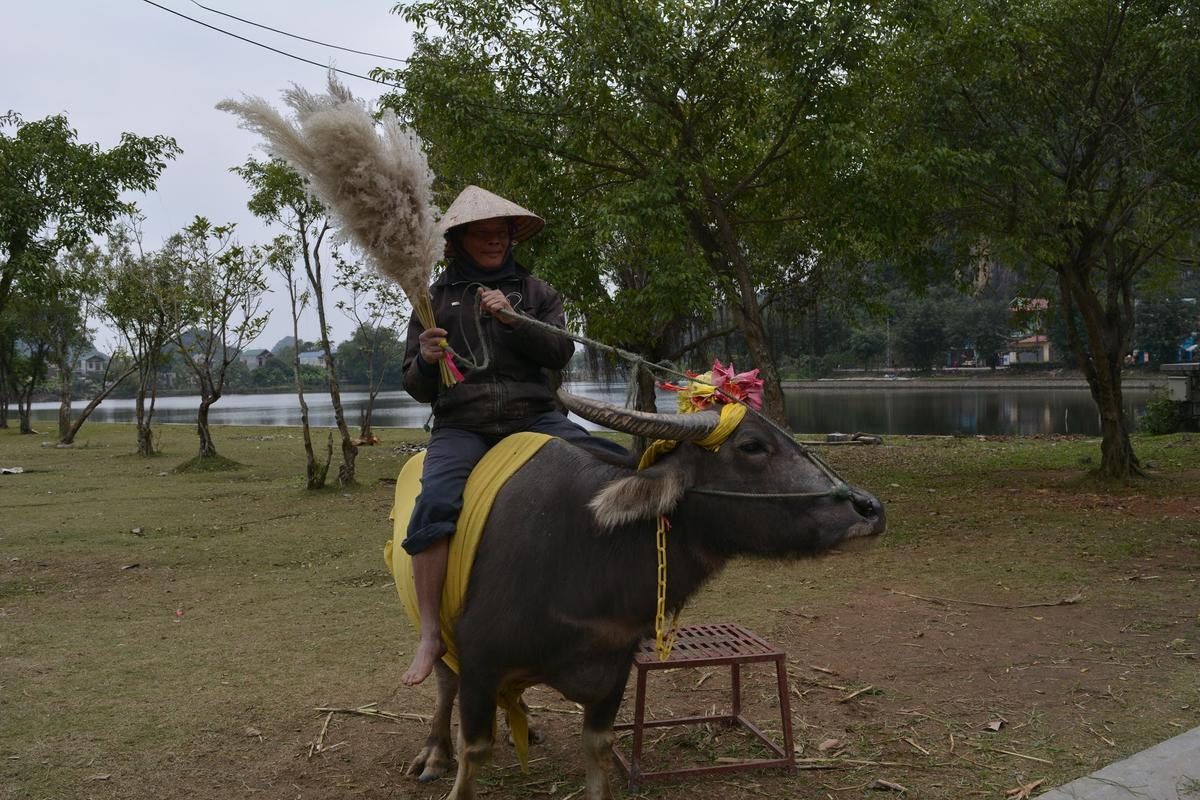 Cuộc hội ngộ đầy bất ngờ giữa nam du khách nước ngoài và người đàn ông chăn trâu ở Ninh Bình sau 15 năm gây sốt MXH Ảnh 5