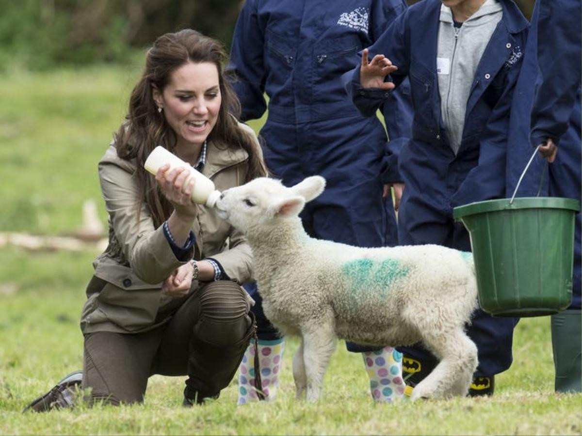 13 khoảnh khắc hài hước chứng minh Kate Middleton cũng giống mọi người vợ - người mẹ khác Ảnh 16