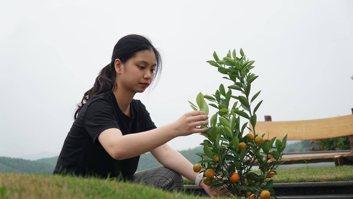 Người Hà Nội sắm đào quất đưa con cháu lên Hòa Bình tảo mộ, mời gia tiên về ăn Tết Ảnh 7