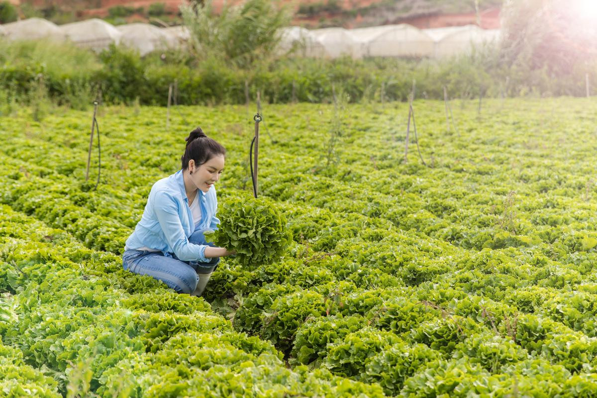 Lý Nhã Kỳ tiết lộ bí quyết giữ nhan sắc mãi trẻ trung, xinh đẹp Ảnh 10