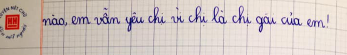 Kể xấu chị gái tả tơi trong bài văn nhưng câu 'chốt hạ' cậu nam sinh lớp 2 mới khiến nhiều người chú ý Ảnh 2