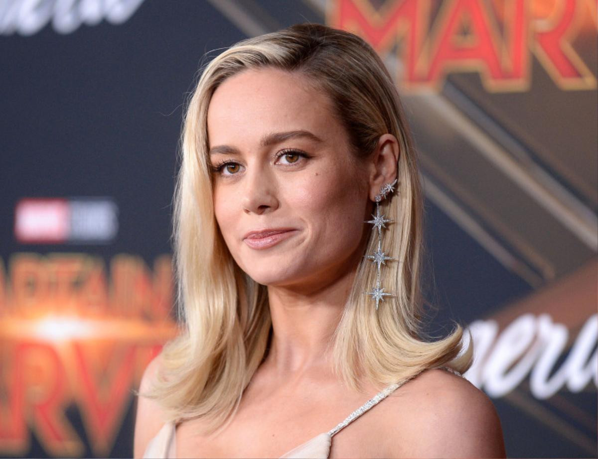 Gần 30 ngàn chữ kí kêu gọi Brie Larson từ bỏ vai diễn Captain Marvel trong MCU Ảnh 2