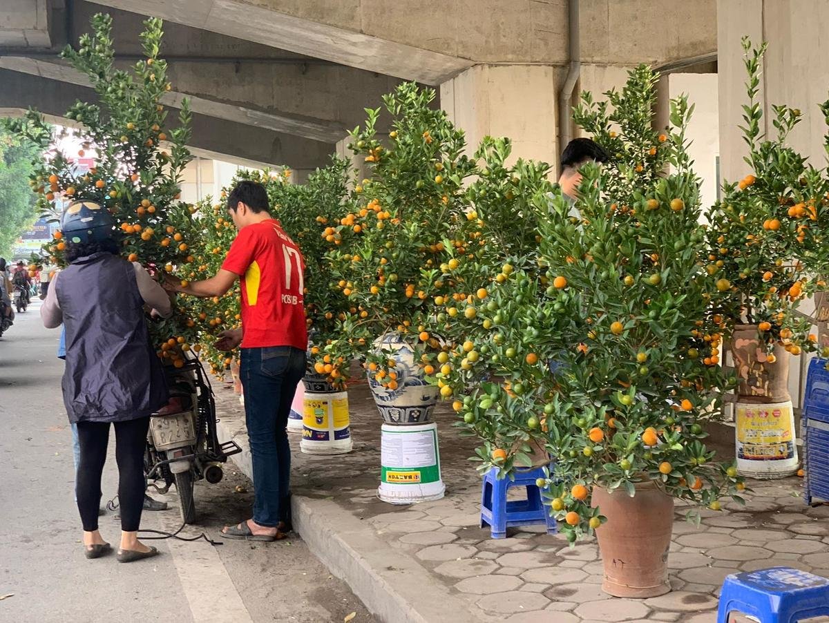 Vỉa hè, nhà ga đường sắt Cát Linh biến thành chợ tràn ngập đào quất Tết Ảnh 11