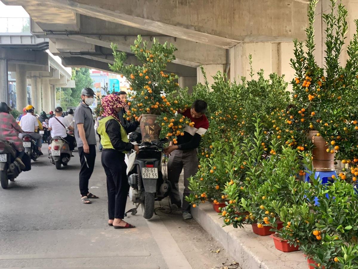 Vỉa hè, nhà ga đường sắt Cát Linh biến thành chợ tràn ngập đào quất Tết Ảnh 10