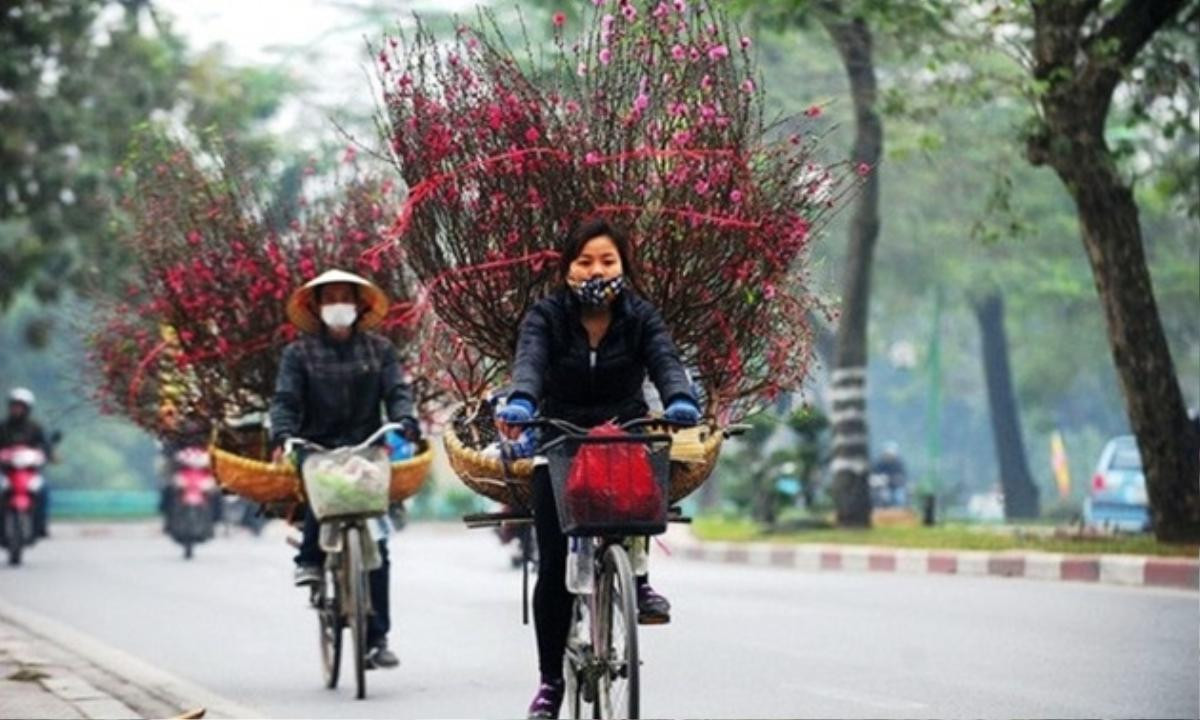 Dự báo thời tiết Tết Nguyên Đán Canh Tý 2020: Không khí lạnh tràn về đêm Giao thừa, miền Bắc rét đậm Ảnh 1