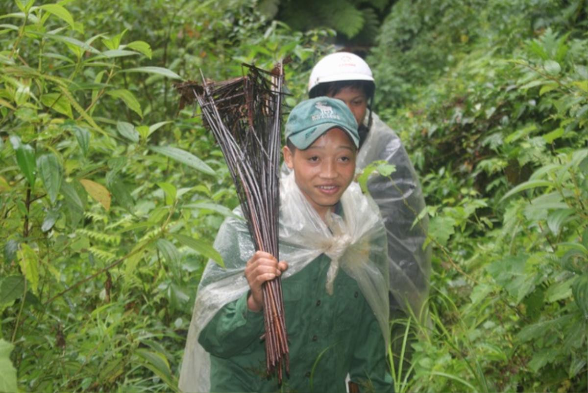 Lên cổng trời Ngọc Linh săn 'chuột quý tộc' Ảnh 2