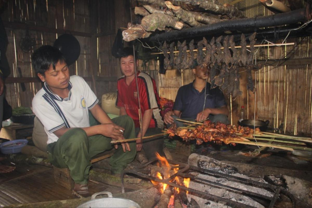 Lên cổng trời Ngọc Linh săn 'chuột quý tộc' Ảnh 8