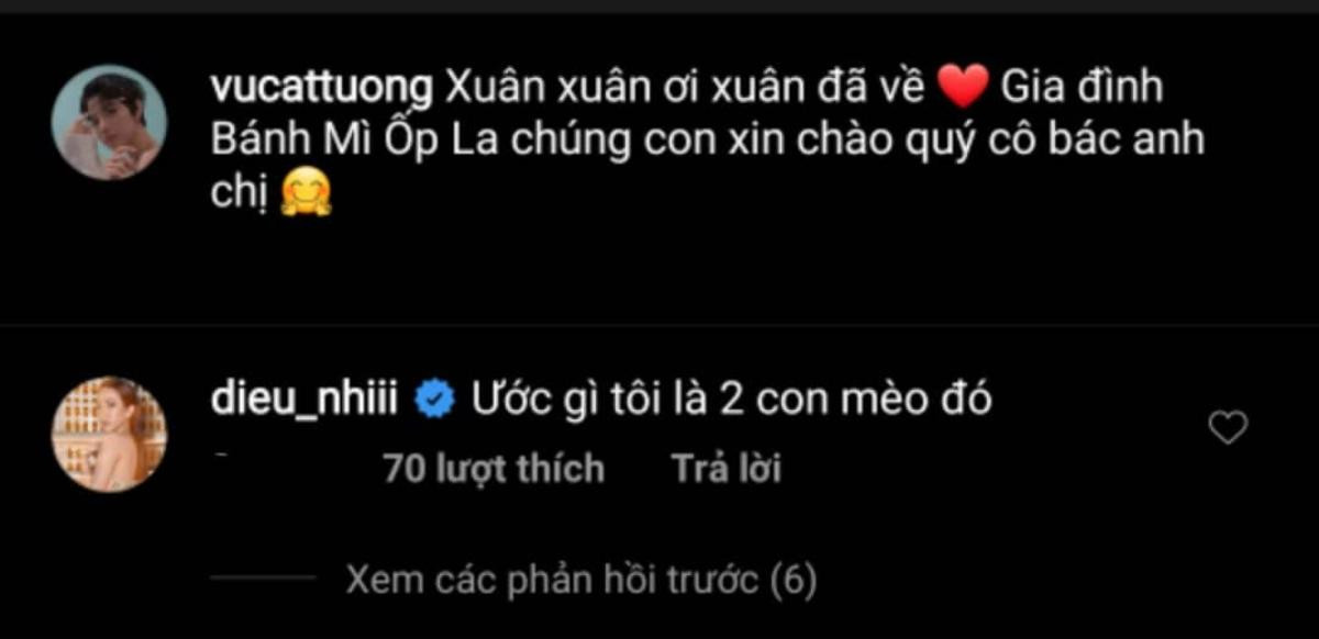 Vũ Cát Tường tung ảnh 'xịn' cùng mèo đón Tết, Diệu Nhi vào 'phán' một câu khiến fan chỉ biết… quỳ Ảnh 5