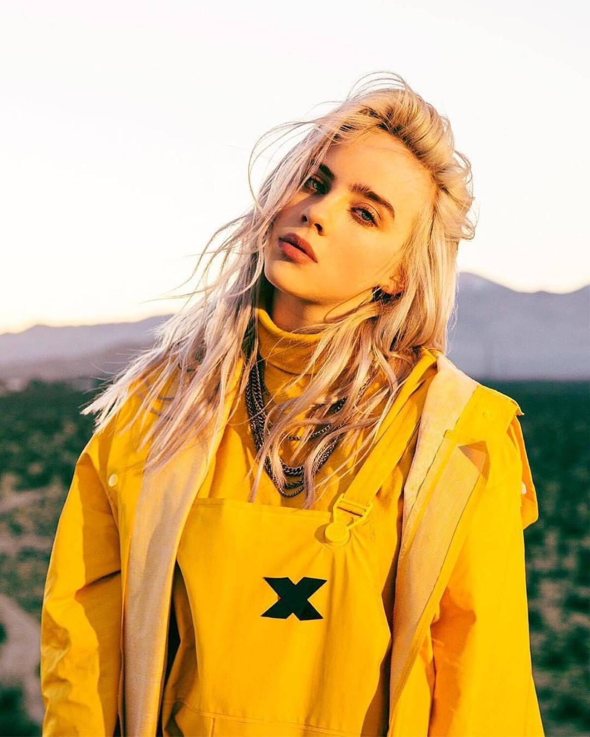 Xem ngay viễn cảnh Billie Eilish 'đồng quy vu tận' cùng người anh trai Finneas O'Connell trong MV mới nhất: Everything I Wanted Ảnh 5