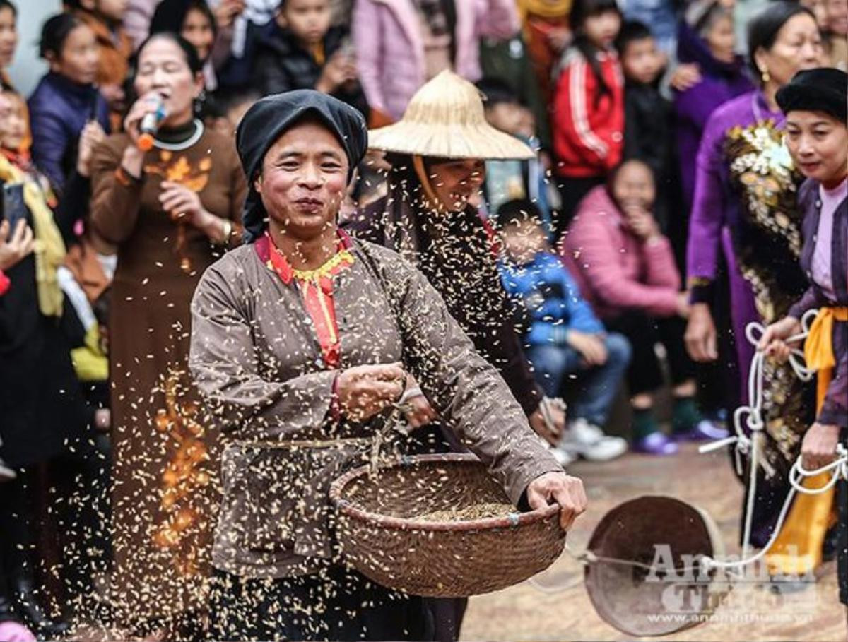 Đầu xuân xem người đội trâu rơm đi cày, trai giả gái tung trấu gieo mạ Ảnh 12