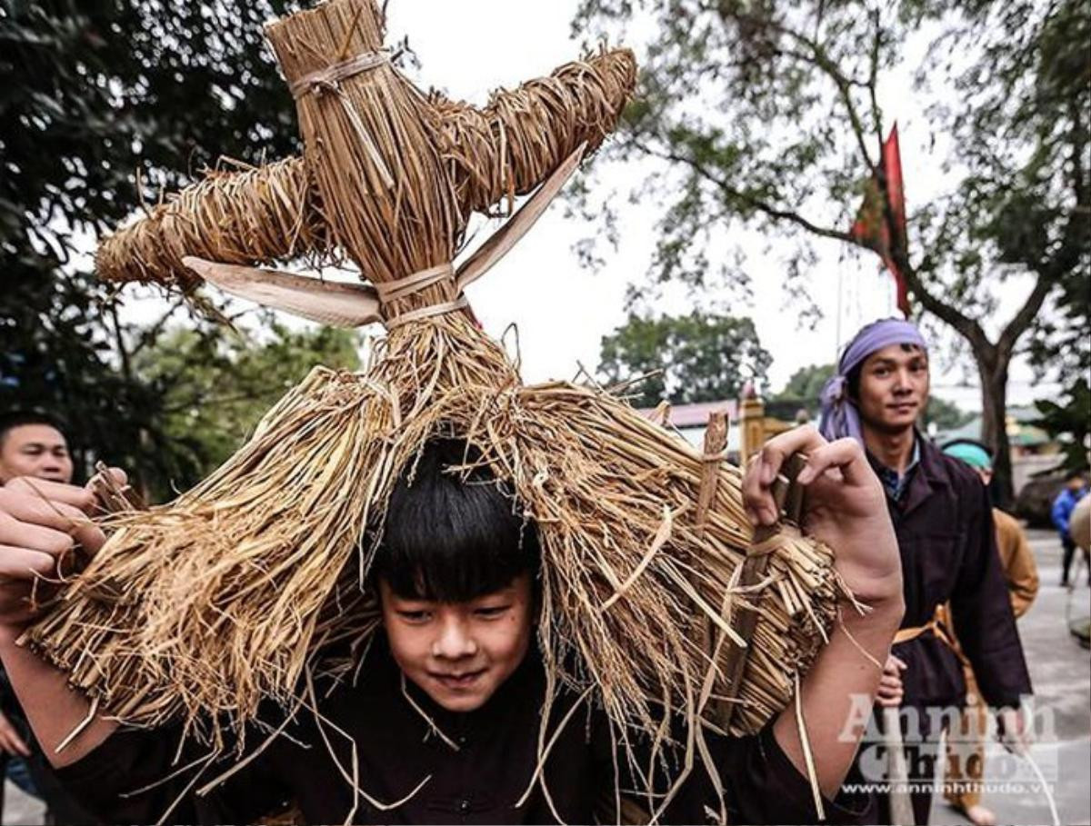 Đầu xuân xem người đội trâu rơm đi cày, trai giả gái tung trấu gieo mạ Ảnh 13