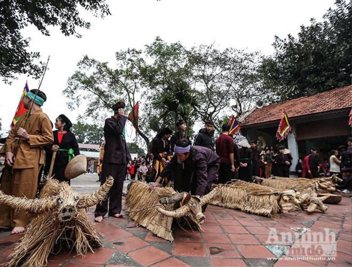 Đầu xuân xem người đội trâu rơm đi cày, trai giả gái tung trấu gieo mạ Ảnh 5