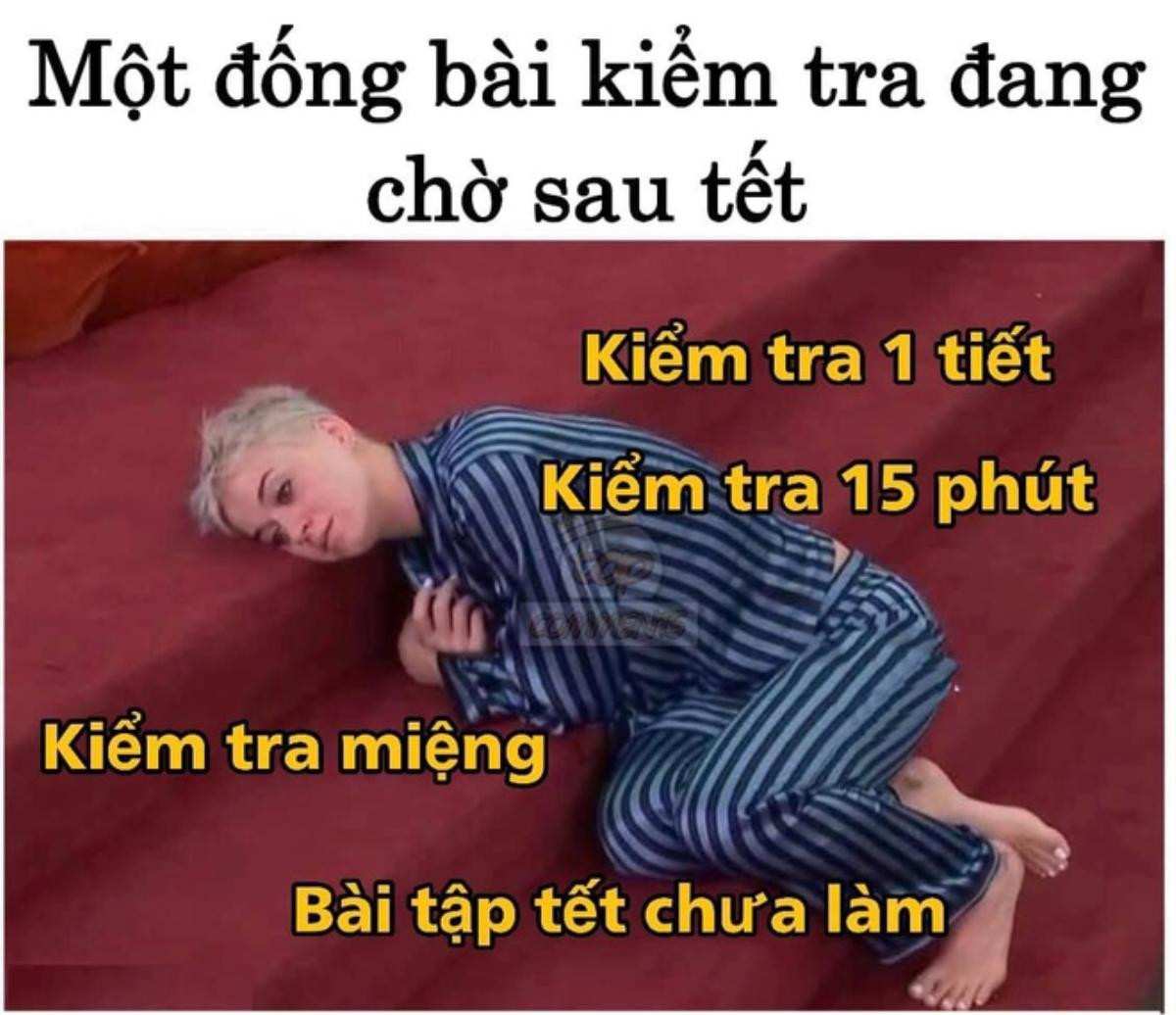 Loạt ảnh chế về nỗi 'ám ảnh' mang tên hết Tết của cư dân mạng Ảnh 3