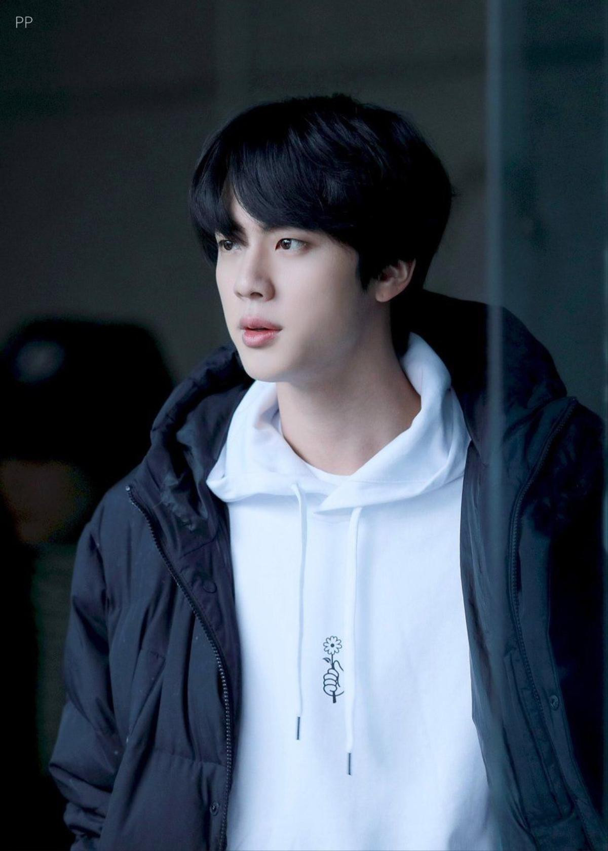 Jin (BTS) nhận được cúp 'Gương mặt điêu khắc đẹp trai nhất thế giới' Ảnh 3