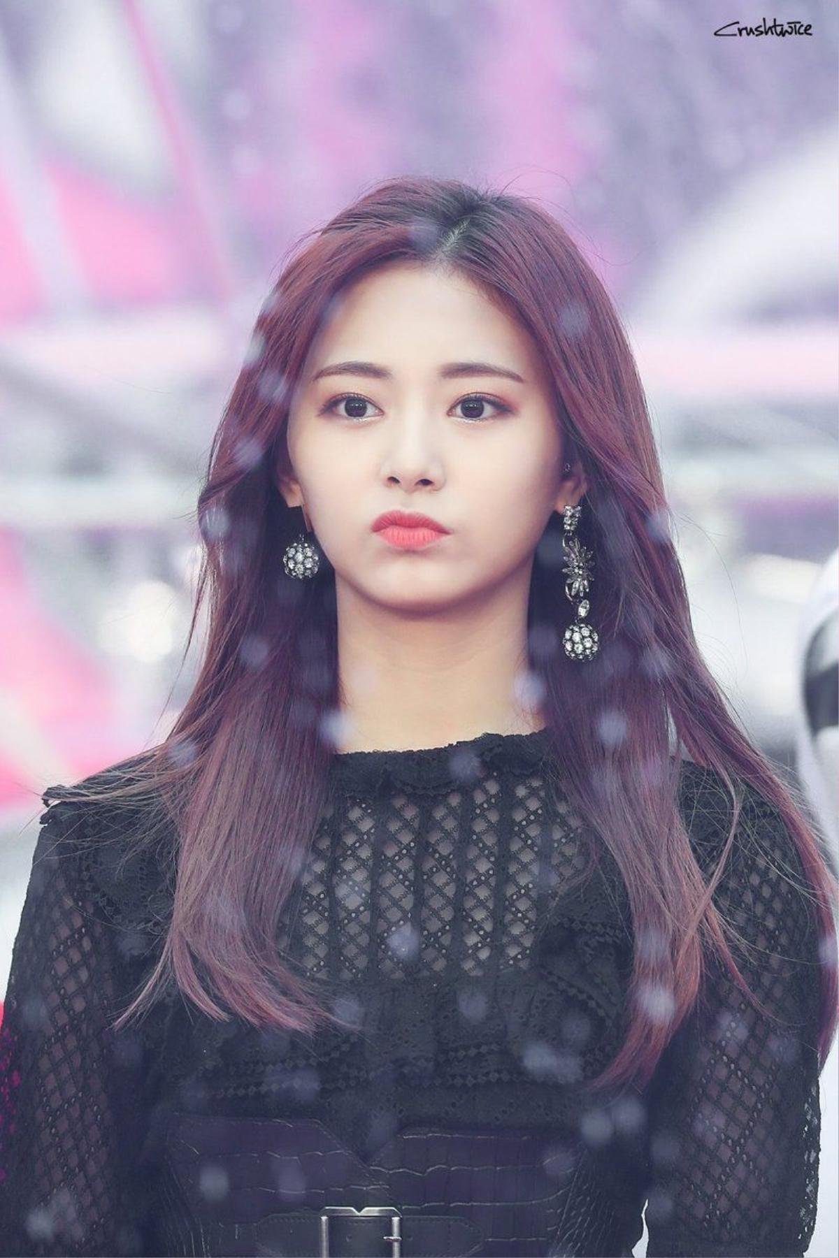 Nữ tân binh Kpop được gọi là 'tiểu Tzuyu (TWICE)', Knet mỉa mai: 'Giống Jihyo hơn' Ảnh 3