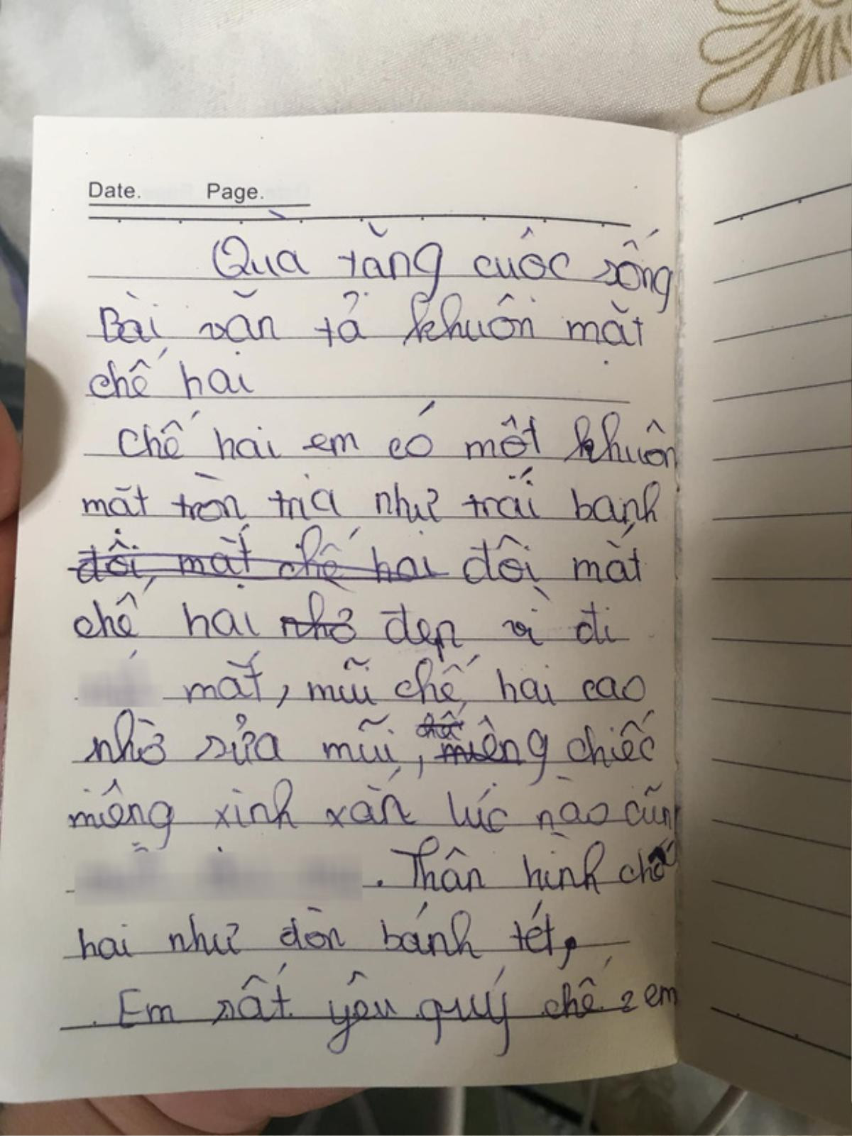 Cười ngất với bài văn tả chị gái của cô bé tiểu học: 'Khuôn mặt tròn như trái banh, mắt, mũi đã đi sửa' Ảnh 1