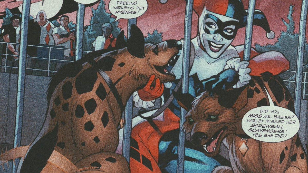 Toàn bộ Easter Egg trong 'Birds of Prey' (P1): Harley Quinn học hỏi… Như Ý Truyện? Ảnh 3