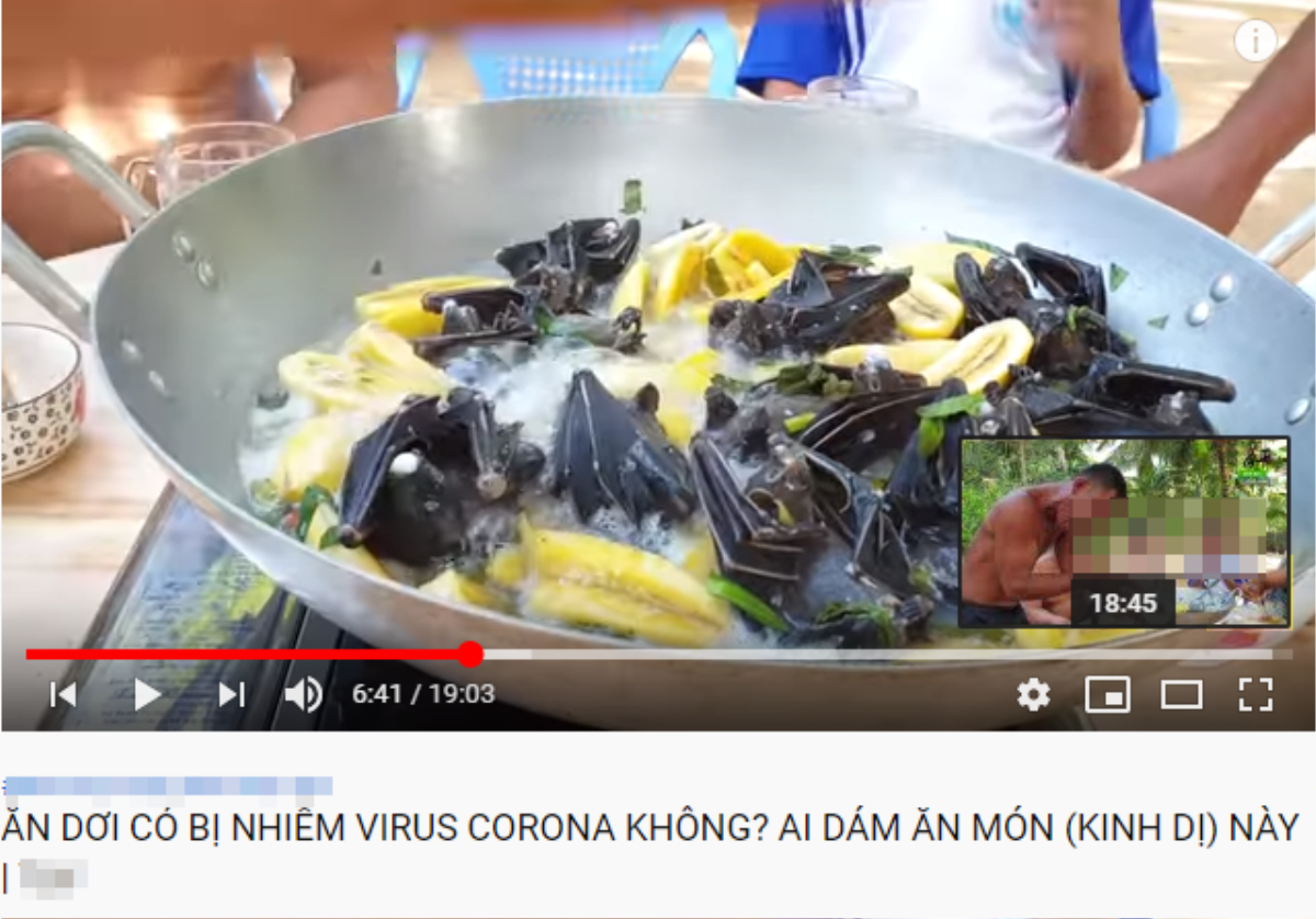 Nhiều YouTuber lợi dụng dịch bệnh virus corona để 'câu view', dân mạng bức xúc: 'Người văn minh không mua vui trên nỗi đau đồng loại' Ảnh 5